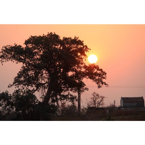 Mandu: Mosiacs of History and Architect